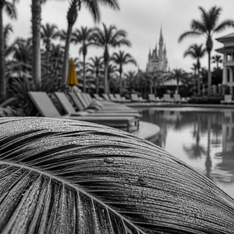 3 Day Itinerary for Orlando: How to Pick the Right Resort Near Walt Disney World